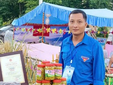 Thầy giáo biến loại quả gắn bó với người Sán Chỉ thành sản phẩm đặc sản