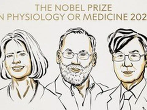 Giải Nobel Y sinh 2025 được trao cho ba nhà khoa học nhờ khám phá cơ chế 'phanh' hệ miễn dịch của con người