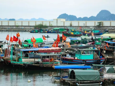 Thủ tướng phát lệnh “tuyên chiến” với khai thác IUU, không để lọt vi phạm