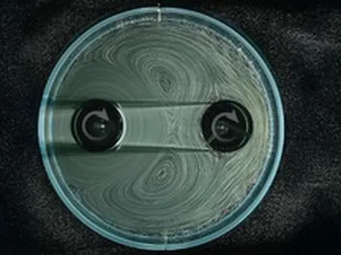 Lịch sử 5.000 năm của bánh răng sắp được viết lại: Không còn nỗi lo mài mòn hay bị kẹt