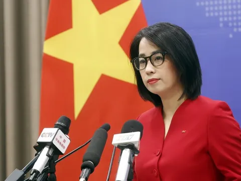 Việt Nam hoan nghênh mọi nỗ lực đem lại hòa bình bền vững cho Dải Gaza