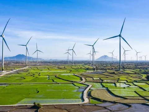 Gia Lai mời gọi đầu tư 12 dự án điện năng lượng tái tạo, tổng vốn hơn 21.000 tỷ đồng