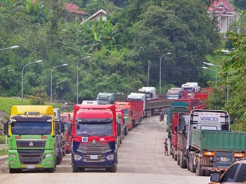 Thủ tướng yêu cầu lập đường dây nóng tiếp nhận và xử lý vướng mắc Nghị định 46