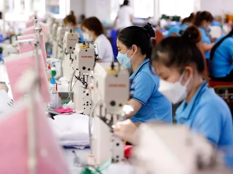 Doanh nghiệp thành lập mới và quay trở lại hoạt động tăng 76,2%