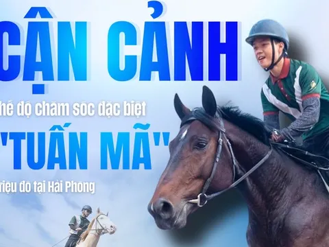 Cận cảnh chế độ chăm sóc đặc biệt "tuấn mã" triệu đô tại Hải Phòng