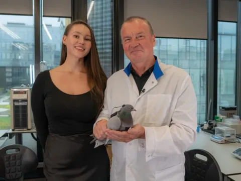 Chuyện thật như đùa: Nga thử nghiệm gắn chip điều khiển vào não chim bồ công để dùng làm công cụ giám sát