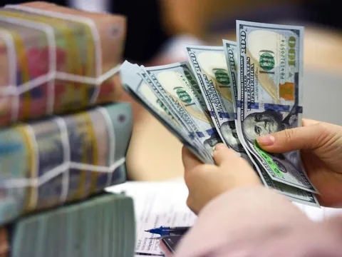 Tỷ giá USD hôm nay 11.2: USD chững lại trong nước, suy yếu trên thị trường quốc tế