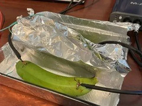 Giới sành âm thanh ngã ngửa vì không thể phân biệt được cáp đắt tiền và một quả chuối xanh