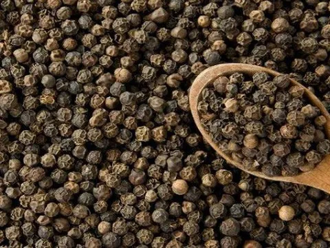 Giá tiêu hôm nay 3.3: Nguồn cung tăng, nội địa lùi sát mốc 146.000 đồng/kg