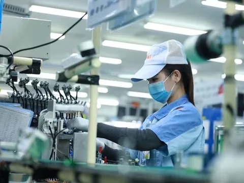 65,4 nghìn doanh nghiệp thành lập mới và quay trở lại hoạt động