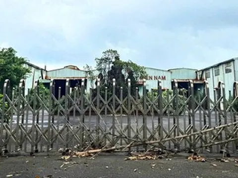 Đà Nẵng đấu giá loạt tài sản của đại gia Huy ‘máy nổ'