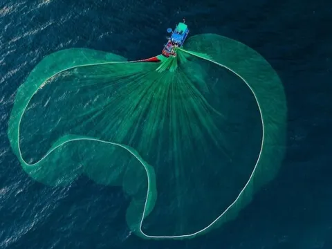 Loạt dự báo bất ngờ về thị trường chứng khoán sau phiên giảm điểm kỷ lục