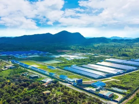 De Heus bắt tay Hùng Nhơn đầu tư 18.300 tỷ đồng thúc đẩy chuỗi chăn nuôi bền vững, mở đường cho xuất khẩu, hướng tới doanh thu 2 tỷ USD mỗi năm