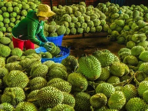 Xuất khẩu nông sản 2 tháng tăng trưởng 17,1%, đạt 11,3 tỷ USD