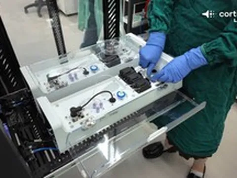 Bạn có nhớ cụm neuron thần kinh chơi được Doom hôm trước không? Nó sắp được ghép thành trung tâm dữ liệu sinh học rồi đây này