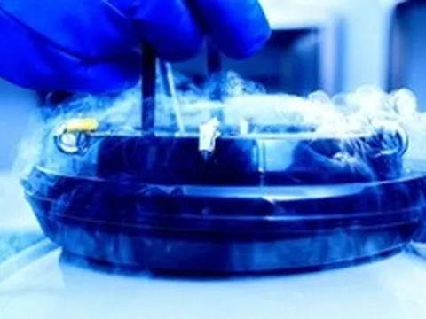 Não chết rồi vẫn “sống lại”? Thí nghiệm đóng băng sâu gây chấn động giới khoa học toàn cầu