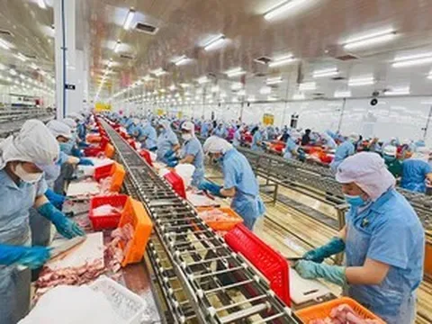 Quy định mới về bao bì và rác thải bao bì của EU các doanh nghiệp xuất khẩu thủy sản cần nắm rõ