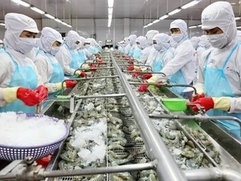 Thực phẩm Sao Ta (FMC): Không hoàn thành kế hoạch lãi năm 2025, nợ vay tăng gần 70%