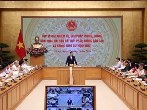 Quyết liệt xử lý tồn tại trong chống khai thác IUU