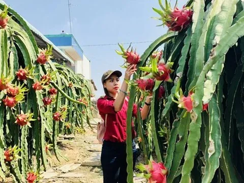 Nông sản Việt Nam cần chủ động thích ứng trước các quy định mới từ EU