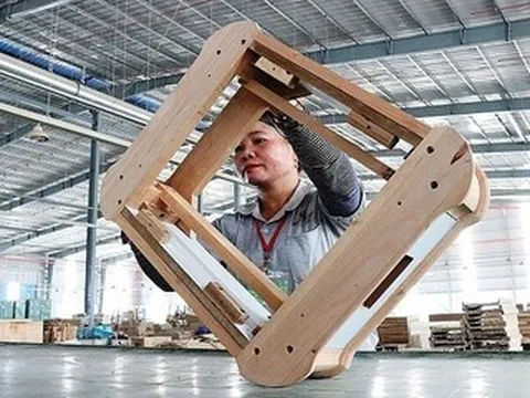 Gỗ không đủ “xanh”: Áp lực carbon buộc ngành vật liệu xây dựng tái cấu trúc