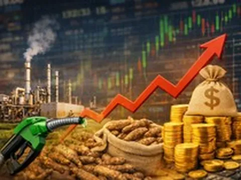 Doanh nghiệp sản xuất Ethanol trên sàn: Cổ phiếu tăng vọt 30% từ đầu năm, cổ tức tiền mặt “đều như vắt tranh”