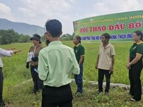 Phường Long Hương (TP HCM) tập huấn sản xuất lúa thích ứng biến đổi khí hậu cho nông dân