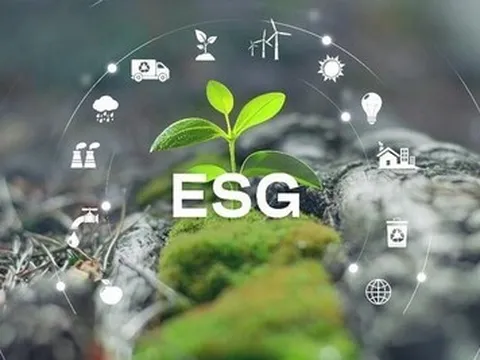 Việt Nam sẽ có khung tiêu chuẩn môi trường, xã hội, quản trị