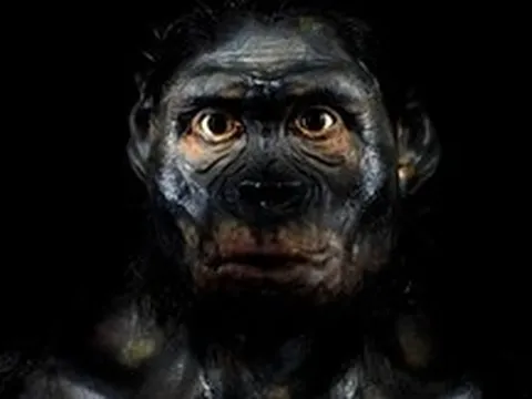 Bí ẩn bộ gen người: Tổ tiên chúng ta từng lai tạo với hai loài siêu cổ xưa, riêng biệt và bí ẩn