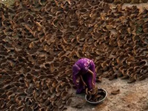 Cảnh tượng chưa từng thấy ở Ấn Độ: Khắp đường phố "xuyên không" về thời đồ đá, người dân phải dùng nguyên liệu thô sơ nhất để nấu ăn