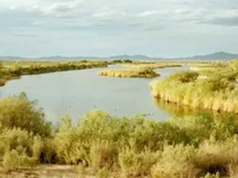 Phát hiện kho báu 'vàng trắng' 500 tỷ USD sâu dưới hồ, đủ dùng trong nhiều thập kỷ: Nguồn năng lượng cả nhân loại khao khát được mở khoá