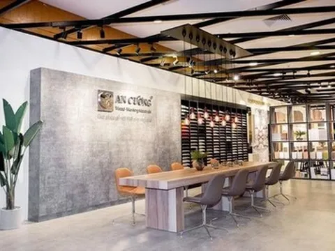 Gỗ An Cường (ACG) vào diện kiểm tra thuế, lộ nhiều biến động tài chính đáng chú ý