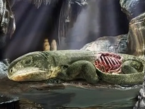 Bí ẩn trong hang tối: Xác ướp 289 triệu năm vạch trần "cỗ máy" hô hấp của nhân loại