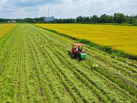 Đã giải ngân 3.600 tỷ cho chương trình lúa gạo phát thải thấp