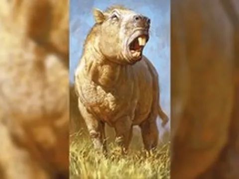 Bí ẩn loài gặm nhấm khổng lồ nhất lịch sử Trái Đất, mang khối lượng nửa tấn cùng lực cắn kinh hoàng