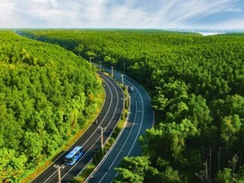 5.000 runners đếm ngược tới ngày “detox phổi” tại “mỏ oxy khổng lồ” của TP.HCM