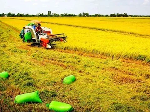 Nhân rộng các mô hình chuyển đổi xanh