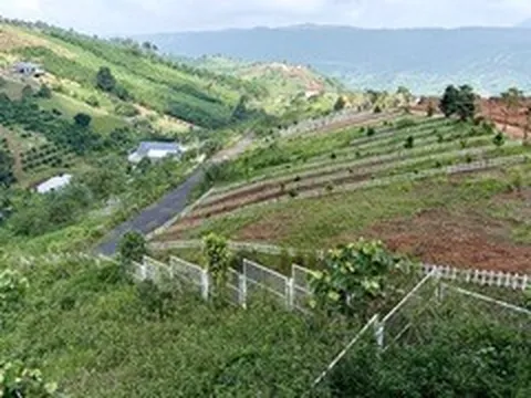 Đất nền phân lô 'chôn vốn' 4 năm, rao bán cắt lỗ không ai mua