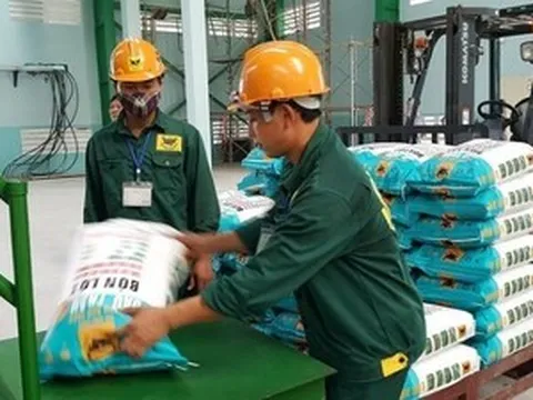 Phân bón Bình Điền (BFC): Bị phạt và truy thu hơn 3,6 tỷ đồng tiền thuế, vay nợ tăng vọt 77%