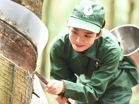 Tập đoàn Công nghiệp Cao su Việt Nam chuyển đổi xanh tạo đà cho tăng trưởng bền vững