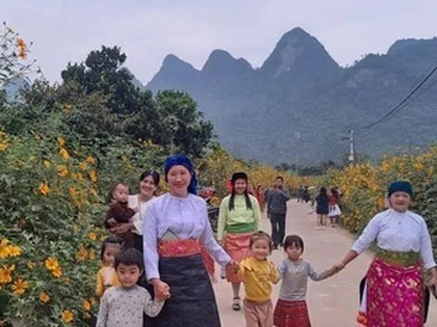 Tuyên Quang thông báo cho thuê môi trường rừng phát triển du lịch sinh thái tại Phong Quang