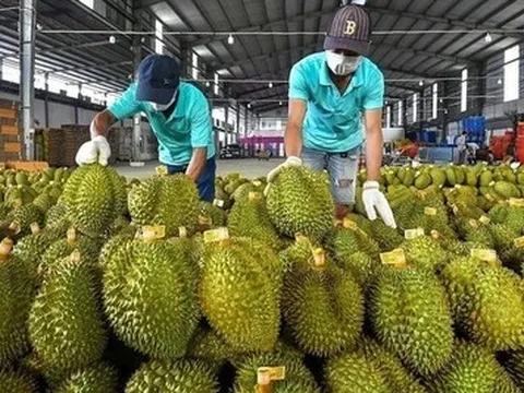 Xuất khẩu rau quả vượt 2 tỷ USD, hướng đến mốc 10 tỷ USD