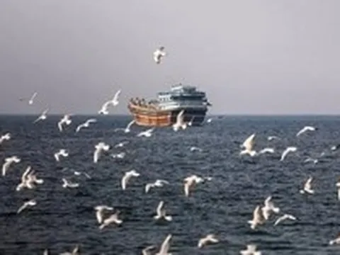 Có gì trên tàu hàng Iran bị Mỹ thu giữ trên Vịnh Oman?