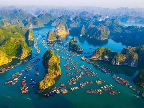 Thúc đẩy mạnh mẽ các hoạt động kinh tế biển theo hướng kinh tế xanh, kinh tế tuần hoàn