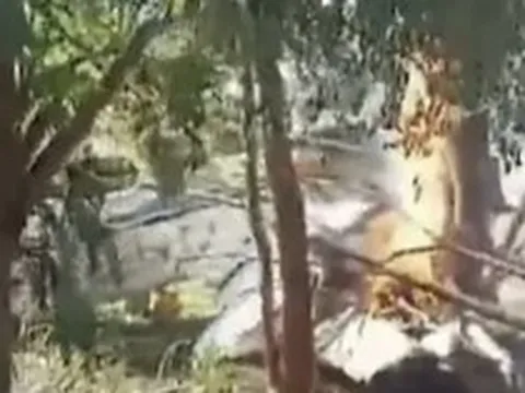 Rơi máy bay chở đầy tiền mặt giữa biên giới 3 nước, nổ ra hàng loạt vụ cướp