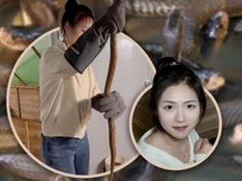 Bỏ phố về làng nuôi 60.000 rắn độc, cô gái Trung Quốc khiến mạng xã hội sửng sốt với thu nhập tiền tỷ