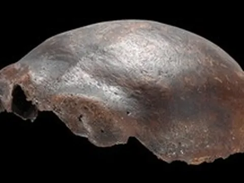Hộp sọ được cho là của người lai Neanderthal, từng gây chấn động khoa học: Nghiên cứu mới hé lộ sự thật bất ngờ
