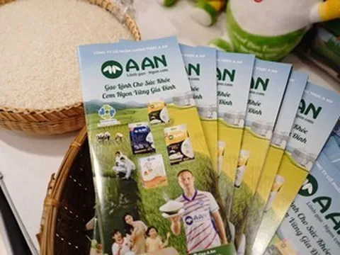 Lương thực A An (AAN): Lãi quý I tăng 86%, hàng tồn kho và nợ vay cùng nhích lên
