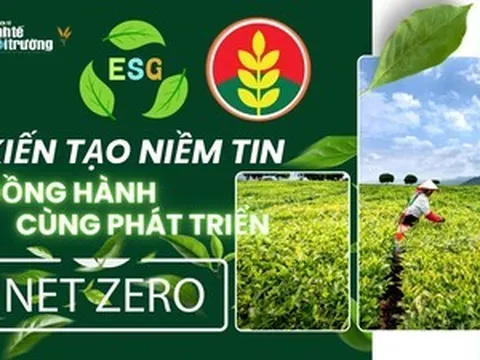 Bài 2: ESG tại Phân bón Cà Mau – Tiệm cận chuẩn quốc tế nhưng bài toán carbon vẫn còn bỏ ngỏ