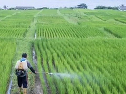 Phát minh của Trung Quốc xoay chuyển ngành phân bón: Ép chất thải độc hại thành nguyên liệu cho nông nghiệp, hiệu suất cao gấp 3 lần bình thường
